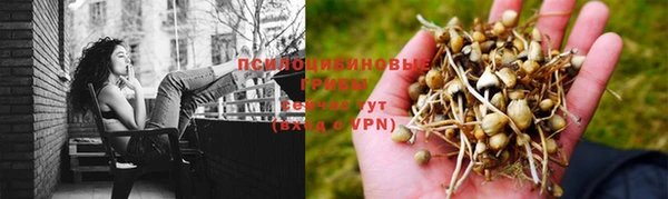 мет Кинешма