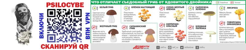 где купить наркоту  Котовск  Галлюциногенные грибы MAGIC MUSHROOMS 